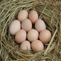 [江苏乡村振兴][财政集采][丰县]汉之尚 土鸡蛋30个