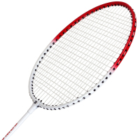 红双喜（DHS）羽毛球12只装/桶