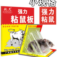 天粘鼠板家用粘老鼠老鼠贴200mm*150mm(10片/组)