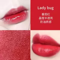 mac 510唇膏