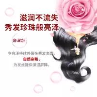 资生堂丝蓓绮490ML*2