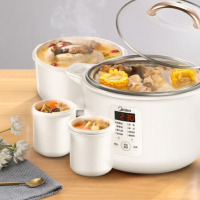 美的(Midea)MD-DZ16P101 电炖锅电炖盅煲汤炖锅隔水炖全自动煮粥煲汤锅3.2l白瓷多胆