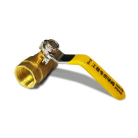 安赛瑞(SAFEWARE)双内丝黄铜球阀 国标铜球阀 双内螺纹全铜球阀门 水管气管球阀开关 DN20 6分 ZM