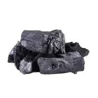 安赛瑞(SAFEWARE)果木炭 果木 黑色块状 5kg/箱 ZM