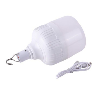 星彩照明 LED移动式充电灯应急照明 夜市地摊摆摊停电备用户外超亮灯泡 3档调光 250W 单位：个