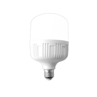 星彩照明 LED节能灯泡 E27螺口超亮照明球泡灯球 工厂房防水大功率 白光 25W 10个装