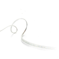 飞利浦 PHILIPS 31162 3000K 虹韵LED灯带 220V 31162 3000K(包装数量 50米).