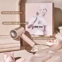 素士H5电吹风 卢浮宫版 (单位:个)