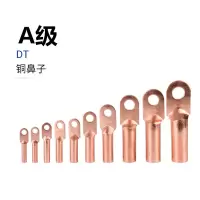 DT-10平方铜线鼻子十只