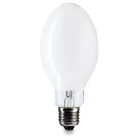 飞利浦  ML 160W 220-230V E27 Philips 自镇流高压汞灯 160W/E27/涂粉.