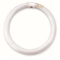 飞利浦  T5C ESSENTIAL 22W/840 Philips T5环形荧光灯22W/G10q中性白.