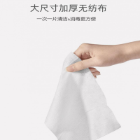 派洁士 湿纸巾 单片装 100片/包(单位:包)