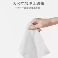派洁士 湿纸巾 单片装 100片/包(单位:包)