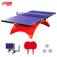 红 双 喜 DHS 彩虹乒乓球桌室内乒乓球台比赛乒乓球案子