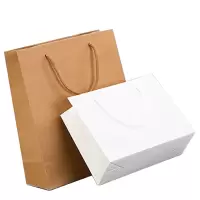 定制 24*10*17cm 牛皮纸手提袋 购物袋子 礼品包装袋外卖打包袋 10只装