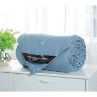 金丝莉(kintheri) 美芯抑菌蚕丝被 JB-1130 180*210cm 填充克重420G