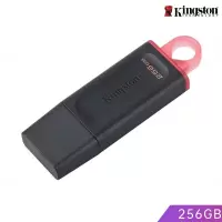 金士顿 DTX-256G 闪存盘/塑料体U盘(USB3.2)