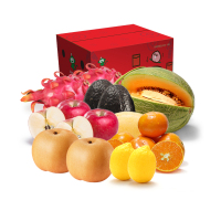 PAGODA 百果园公司 沉鱼落雁水果套餐