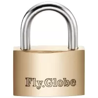 飞球(Fly.Globe)铜挂锁迷你箱包锁宿舍门锁学生抽屉防盗柜子锁小锁 FQ-B*25MM