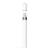 Apple Pencil 手写笔（适用于iPad Pro/iPad 2018款新品）MK0C2CH/A 原装配件 白色