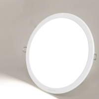 飞利浦(Philips) LED 筒灯18W (单位:个)