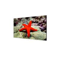 海康威视LCD显示单元DS-D2055NL-E/G/2020