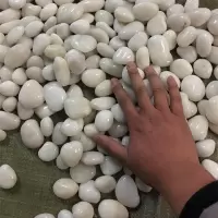 白色高抛光鹅卵石头雨花石黑色石头鹅暖石鱼缸园林造景卵石 抛光白色4-6厘米白色5斤