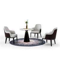 鼎间 洽谈桌椅DJ-7179