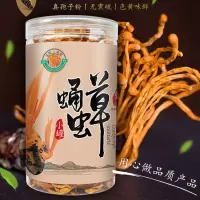 虫体草罐装 虫体草虫草正品干货北金虫草孕妇煲汤食材炖汤材料70g/罐