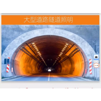 飞利浦(Philips) LED投光灯户外防水超亮50瓦 混色