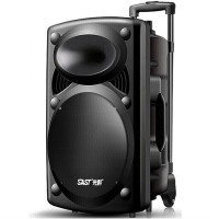 先科(SAST)A90/15英寸大功率重低音广场舞音响