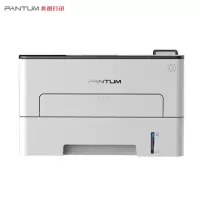 奔图(PANTUM)P3301DN黑白激光打印机 小型办公商用 自动双面打印 一键驱动安装 有线网络打印 居家办公作业