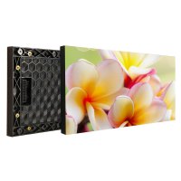 洲明USF1.839 LED显示屏节能模组 单位:平方米