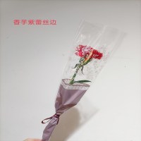 康乃馨美丽花卉