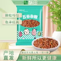 东北红糙米 五谷杂粮粗粮 500g*2 五谷杂粮东北粗粮糙米红米