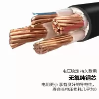 电线电缆ZR-BV 70/米
