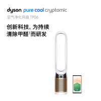 戴森（Dyson）空气净化风扇 SCO TP06 GB 292642-01 智能塔扇