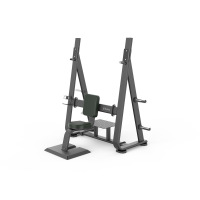 舒华(SHUA) SH-G6889-T18推肩练习椅