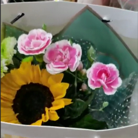 suyappy3.8鲜花春日阳光系列 单束装