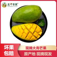 [五个农民] 大青芒 新鲜芒果4-4.5斤装 精选单果400g+