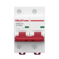 德力西电气（DELIXI ELECTRIC）空气开关 2P 100A 小型断路器大电流断路器空开