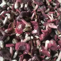 福建野生 大红菇 250g