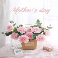 Zs-三八妇女节鲜花自制插花(含花材料)