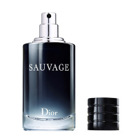 迪奥(Dior) 旷野男士淡香水 60ml