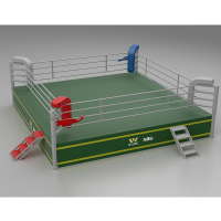 九日山搏击擂台武术散打训练MMA格斗泰拳训练健身拳击台拳击擂台 2306A2