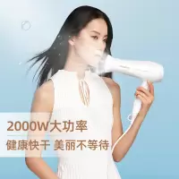 飞科电吹风FH6232