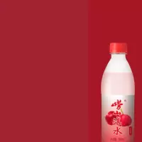 500ml*24m崂山汽水(红果)