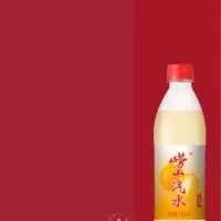 500ml*24m崂山汽水（金桔）