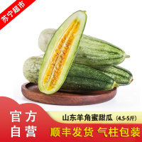 [顺丰发货]山东新鲜羊角蜜甜瓜净重4.5-5斤 新鲜水果蜜瓜甜瓜