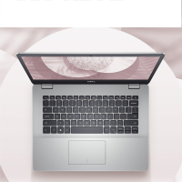 戴尔灵越5000十代酷睿(电 脑)学生网课笔 记 本5493 i7-1065G7/MX230-2G